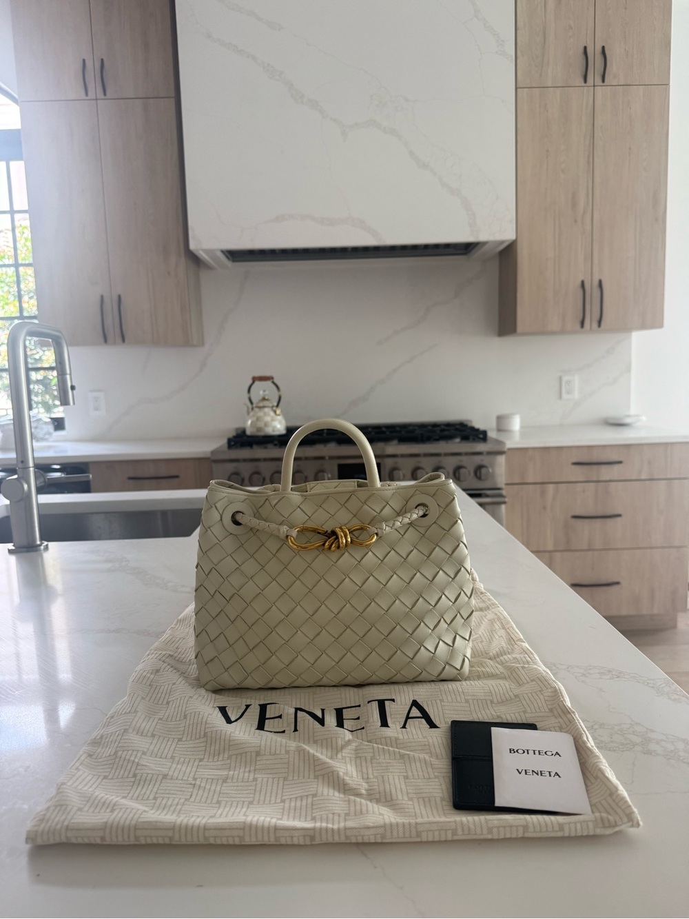 Bottega Veneta Small Andiamo Bag in color “Sea Salt” - Picture 3 of 7